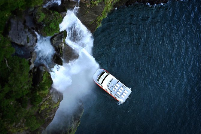 Half-Day Milford Sound Flight and Cruise From Queenstown - Customer Feedback