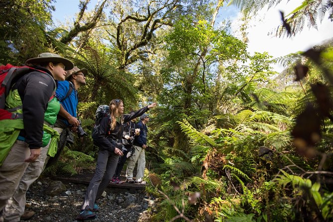 Half-Day Milford Track Guided Hiking Tour - Participant Requirements
