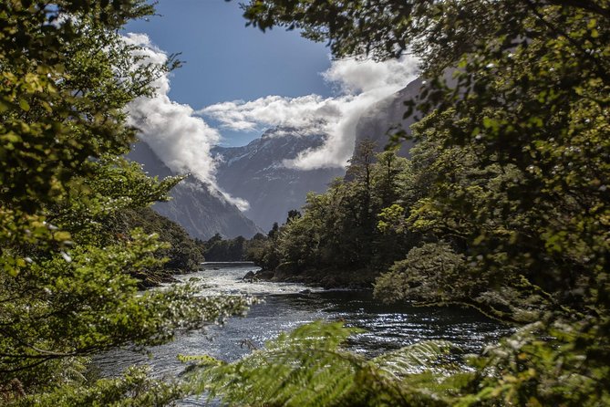 Half-Day Milford Track Guided Hiking Tour - Duration and Distance