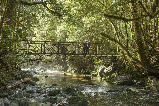 Half-Day Milford Track Guided Hiking Tour - Location and Boat Ride