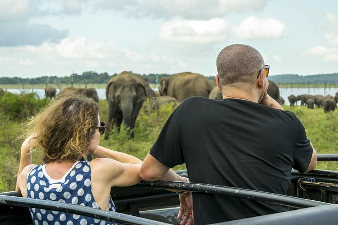 Half Day Minneriya National Park Safari From Habarana - Included Amenities