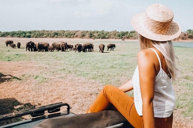 Half Day Minneriya National Park Safari From Habarana - Visitor Experience