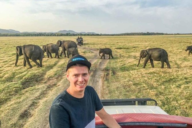 Half Day Minneriya National Park Safari From Sigiriya - Meeting and Pickup Details
