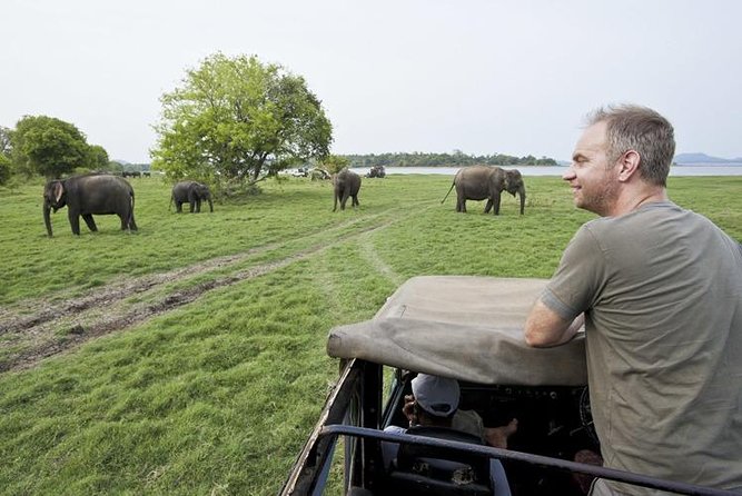 Half Day Minneriya National Park Safari From Sigiriya - Participant Requirements