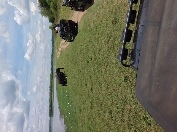 Half Day - Minneriya National Park Safari Tour From Habarana/Sigiriya - Transportation and Vehicle Details