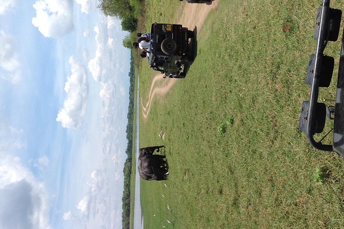 Half Day - Minneriya National Park Safari Tour From Habarana/Sigiriya - Exploring Minneriya National Park