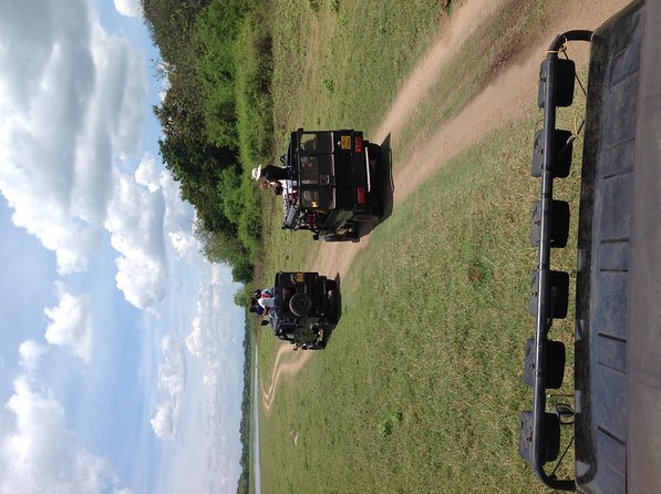 Half Day - Minneriya National Park Safari Tour From Habarana/Sigiriya - Reviews and Feedback