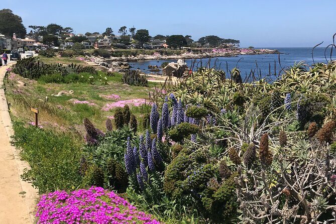 Half Day Monterey Peninsula Sightseeing Tour - Transportation, Timing, and Group Size