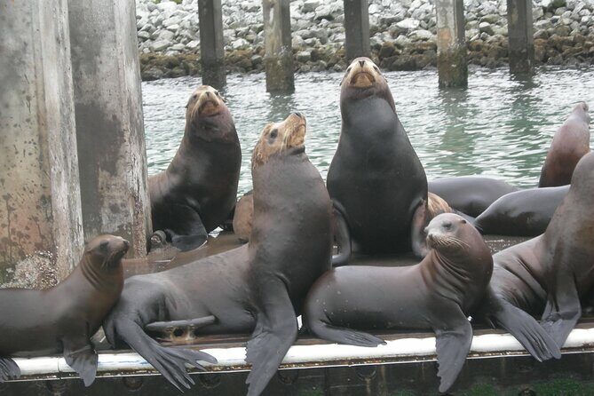 Half Day Monterey Peninsula Sightseeing Tour - FAQ