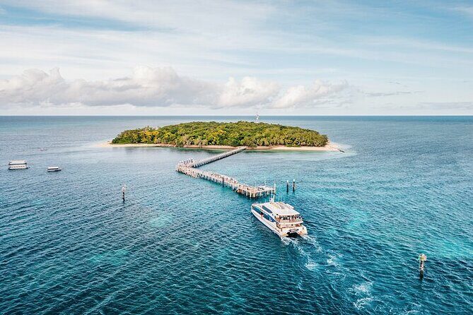 Half Day Morning Adventure - Fitzroy Island Return Ferry Included - Who Should Consider This Tour?