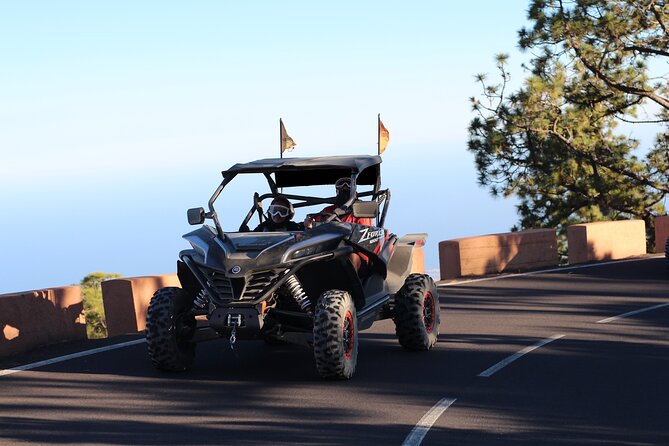 Half Day Morning Buggy Tour in Teide National Park - Customer Reviews