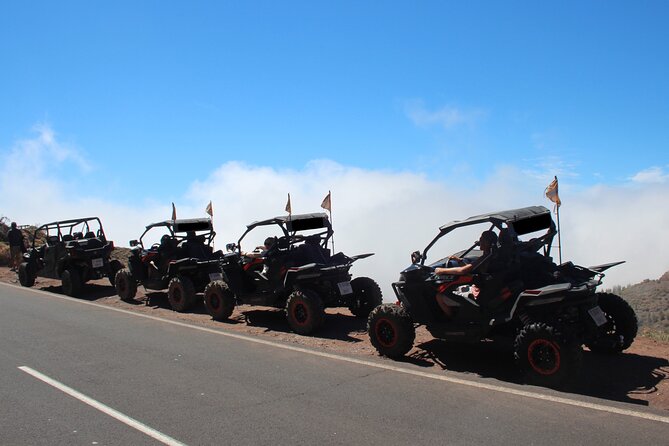 Half Day Morning Buggy Tour in Teide National Park - Driver Requirements