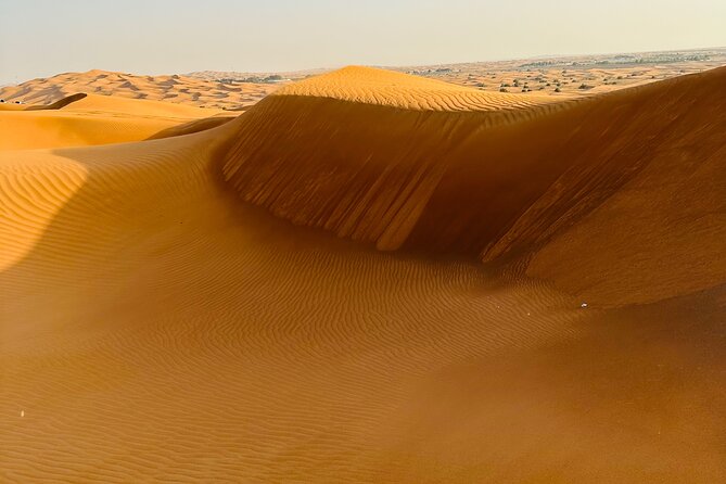 Half-Day Morning Desert Safari in Dubai - Scenic Desert Backdrop