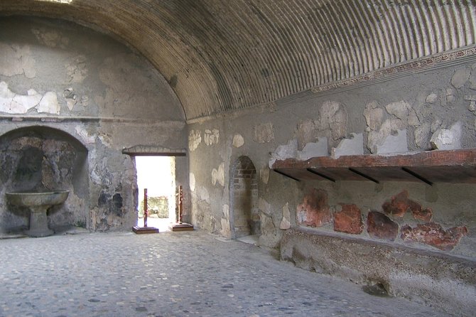 Half Day Morning Tour of Herculaneum From Sorrento - Transportation and Logistics