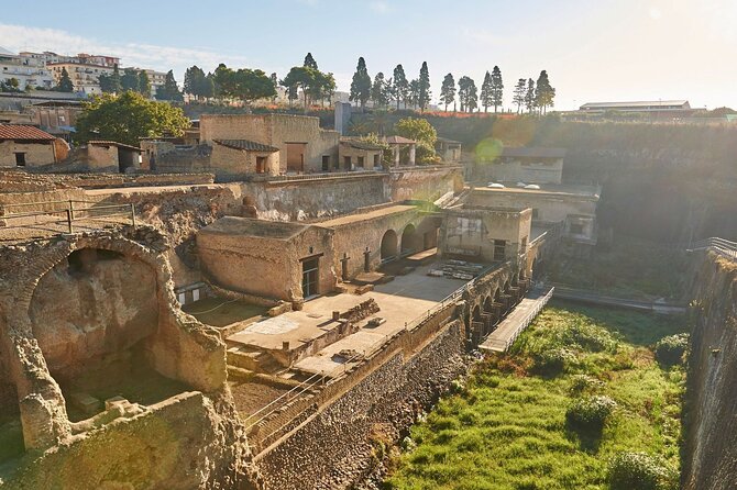 Half Day Morning Tour of Herculaneum From Sorrento - Tour Guide Expertise