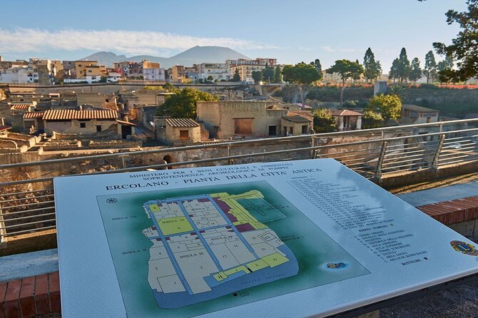 Half Day Morning Tour of Herculaneum From Sorrento - Traveler Experiences