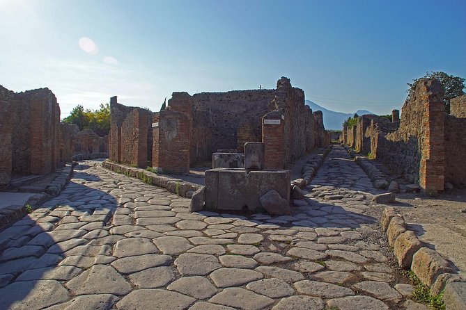 Half Day Morning Tour of Pompeii From Sorrento - Guided Commentary and Insights