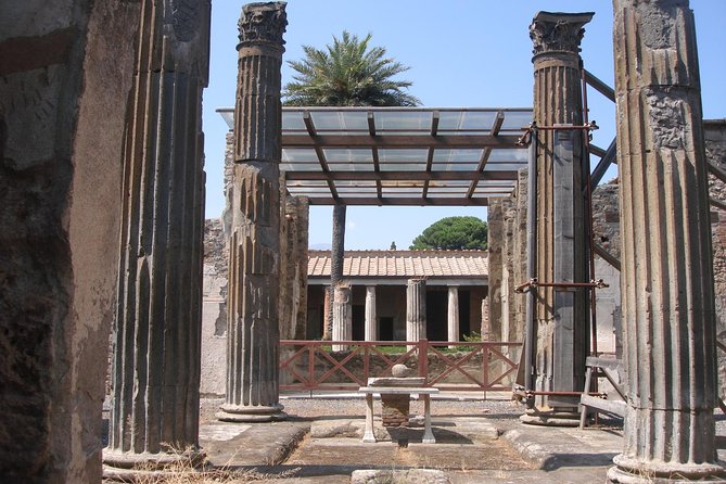 Half Day Morning Tour of Pompeii From Sorrento - Visitor Experiences