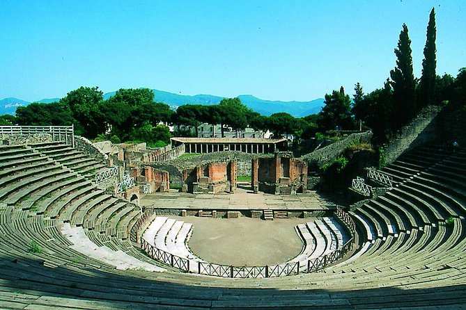 Half Day Morning Tour of Pompeii From Sorrento - Accessibility and Recommendations