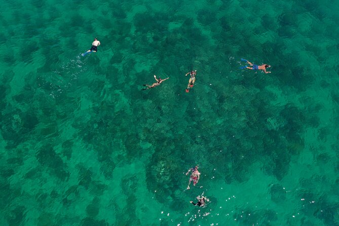Half-Day Morning Trip From Key West With Kayaking and Snorkeling - Key Points