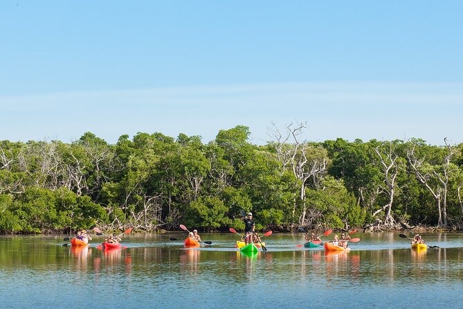 Half-Day Morning Trip From Key West With Kayaking and Snorkeling - Inclusions
