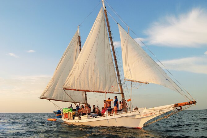 Half-Day Morning Trip From Key West With Kayaking and Snorkeling - Customer Reviews