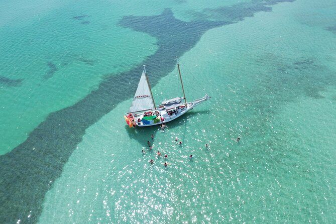 Half-Day Morning Trip From Key West With Kayaking and Snorkeling - Key Highlights From Reviews