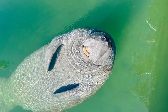 Half-Day Morning Trip From Key West With Kayaking and Snorkeling - Snorkeling Experience