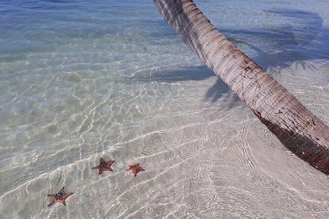 Half-day Motorbike Tour in Phu Quoc Island - Cancellation Policy