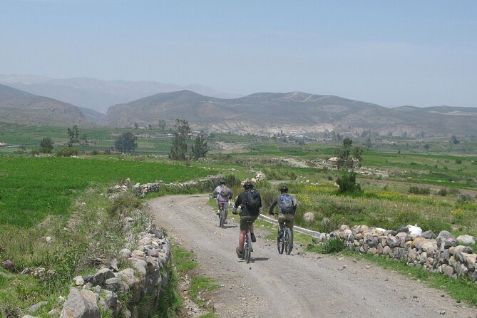 Half Day Mountain Biking Tour Around Misti Volcano - Meeting and End Points