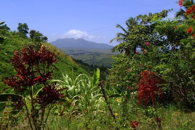 Half-Day Mountain Ride in Puerto Plata - Booking Confirmation