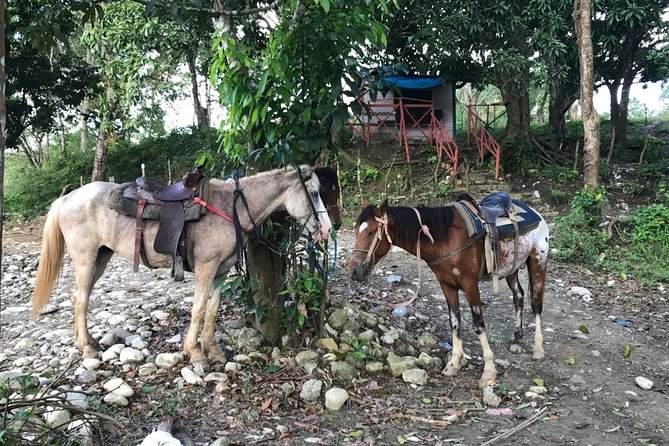 Half-Day Mountain Ride in Puerto Plata - Booking Your Stay