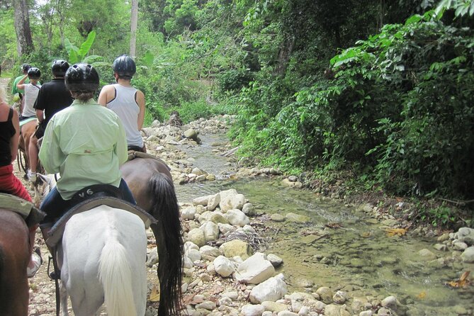 Half-Day Mountain Ride in Puerto Plata - Inclusion Details