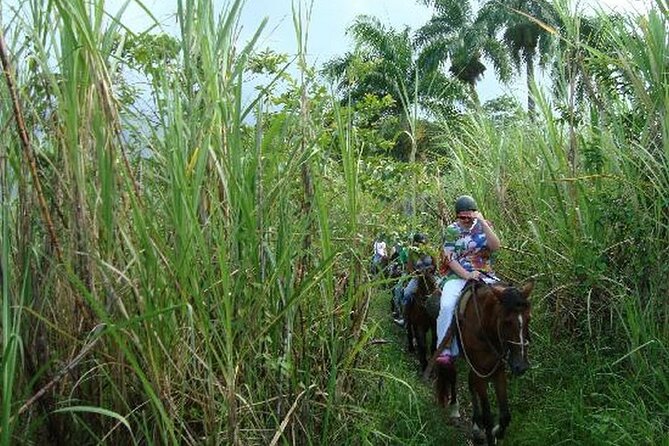 Half-Day Mountain Ride in Puerto Plata - Cancellation Policy