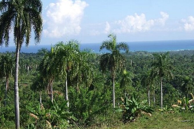 Half-Day Mountain Ride in Puerto Plata - Customer Reviews