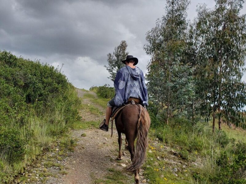 Half Day : Mountain Ride on Horseback - Price and Duration