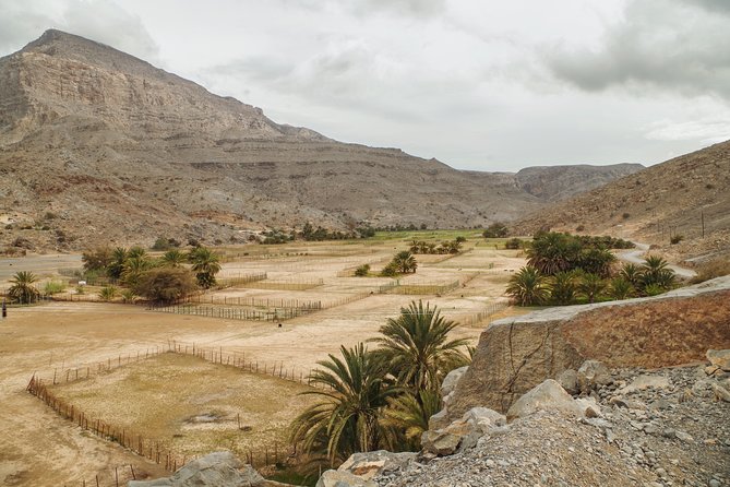 Half Day Mountain Safari to Jebal Harim - Inclusion and Exclusion