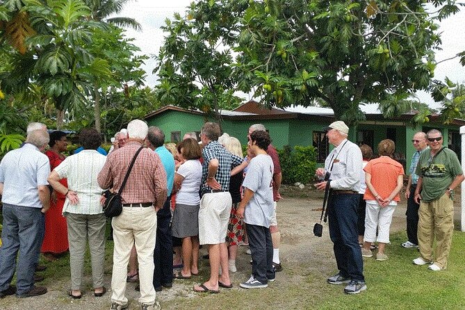 Half Day Mudpools, Veseisei Fijian Village, Gardens of Sleeping Giants &Shopping - Customer Reviews