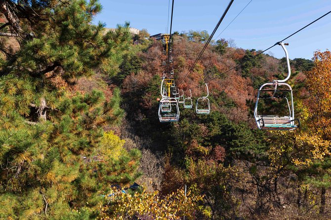 Half Day Mutianyu Great Wall Private Tour - Accessibility and Additional Info