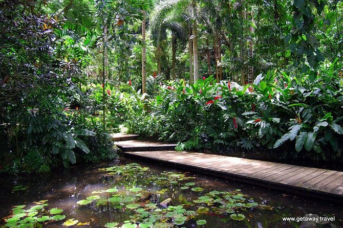 Half Day Nadi Sightseeing & Mud Pool Tour - Inclusions and Logistics