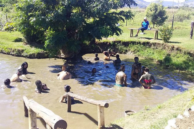 Half Day Nadi Sightseeing & Mud Pool Tour - Tour Details and Accessibility
