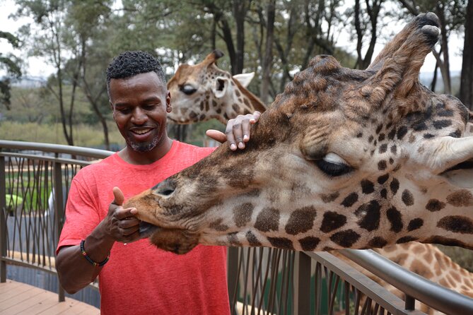 Half-Day Nairobi National Park and Maasai Market With Pick up - Group Size Limit