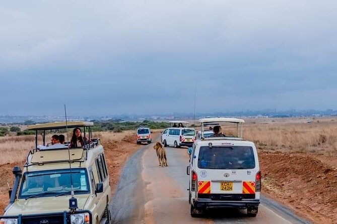 Half Day Nairobi National Park Private Safari - Pickup and Meeting Points