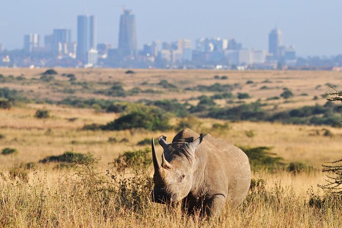 Half Day Nairobi National Park Private Safari - Cancellation Policy
