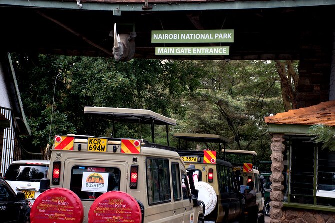 Half Day Nairobi National Park Tour - What to Bring