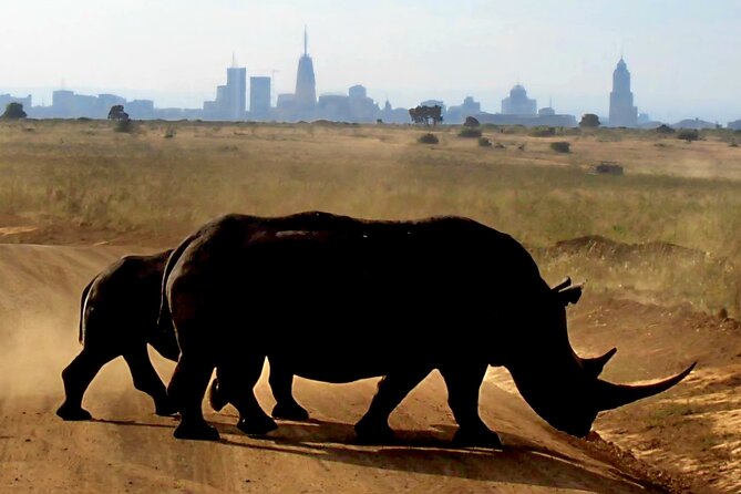 Half Day Nairobi National Park Tour With Admission - Pickup and Dropoff