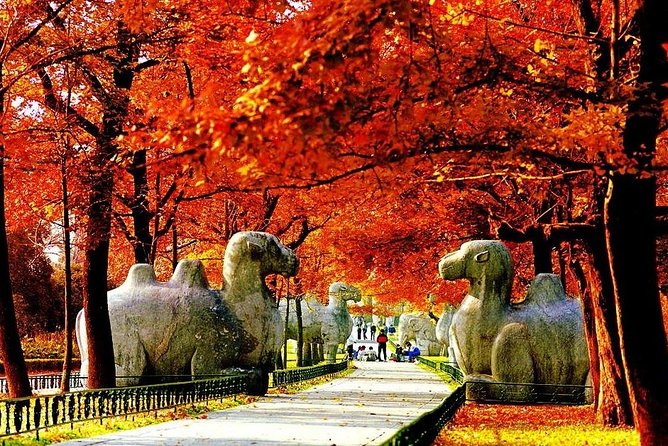 Half-Day Nanjing Purple Mountain Private Tour in Your Way - Key Points