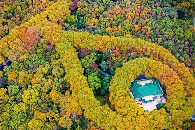 Half-Day Nanjing Purple Mountain Private Tour in Your Way - Inclusions