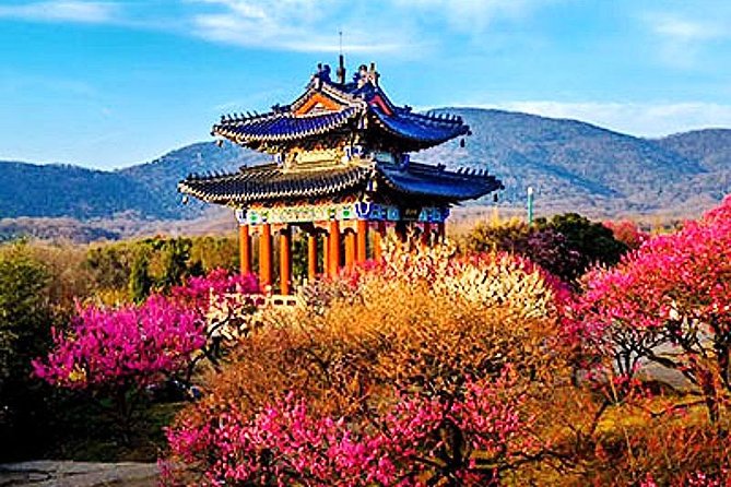 Half-Day Nanjing Purple Mountain Private Tour in Your Way - Customizable Itinerary