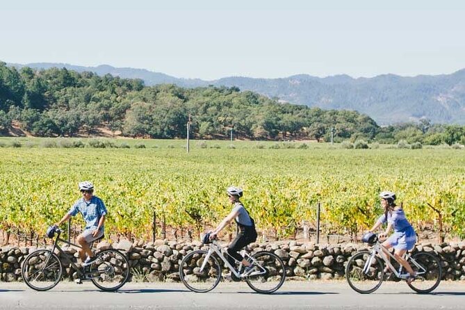 Half-Day Napa Valley E-Bike Tour - Wine Tasting Expectations